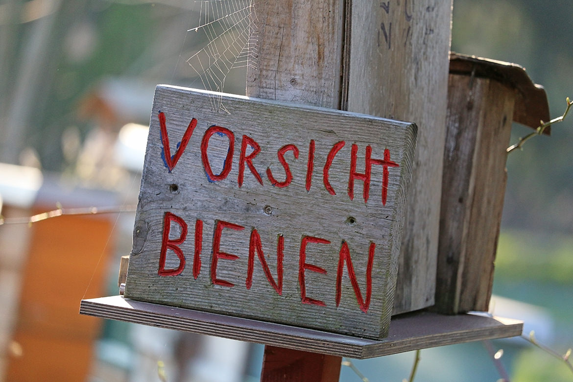 Vorsicht Bienen